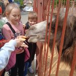 Экскурсия в Липецкий зоопарк